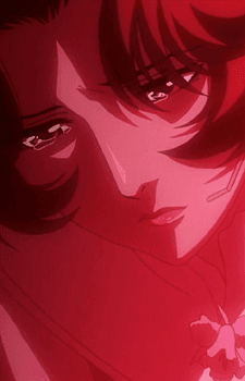 Cattleya Fujiwara Branstein