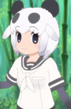 Giant Panda