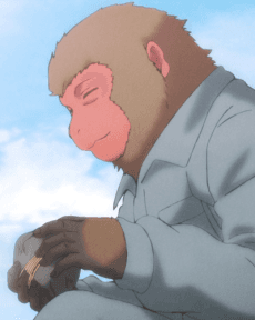 Saru no Oba-san