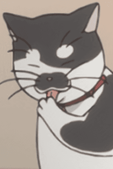 ドラ