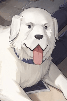 Alexander